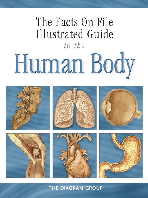 Title details for The Facts on File Illustrated Guide to the Human Body by The Diagram Group - Wait list